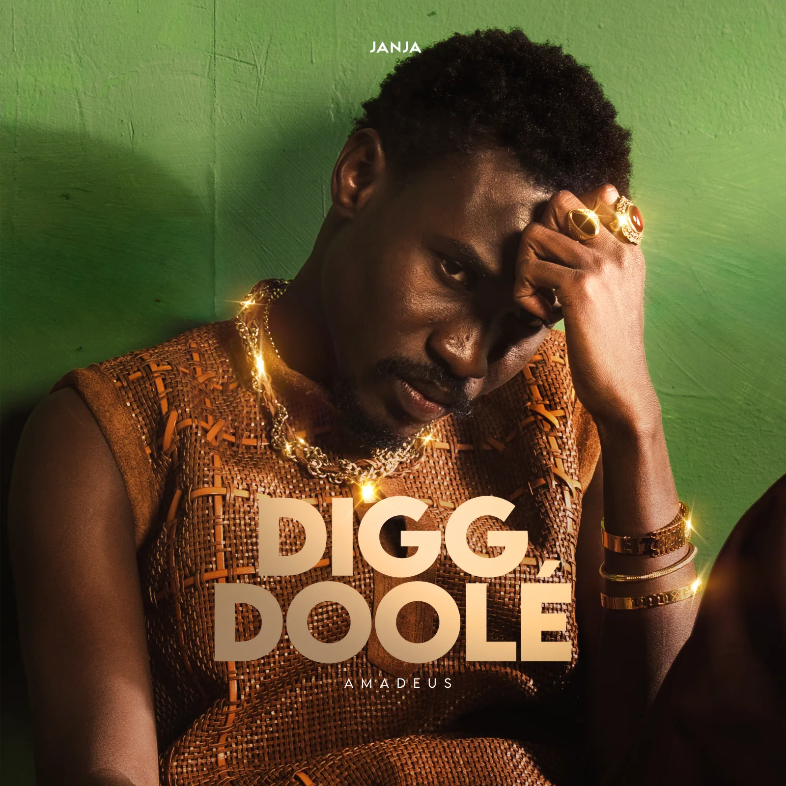Amadeus dans Digg Doolé